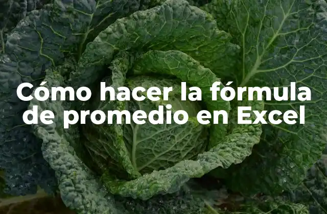Cómo Hacer la Fórmula de Promedio en Excel