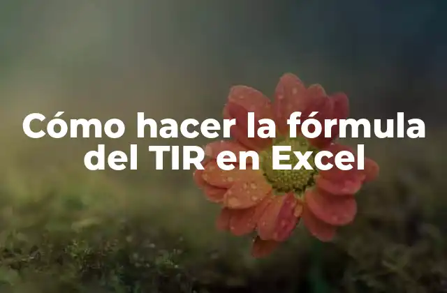 Cómo Hacer la Fórmula Del Tir en Excel