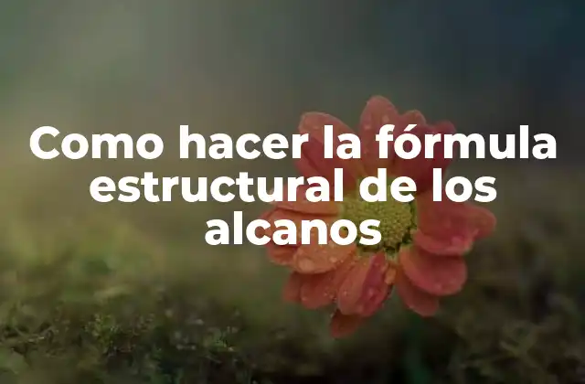 Como Hacer la Fórmula Estructural de los Alcanos