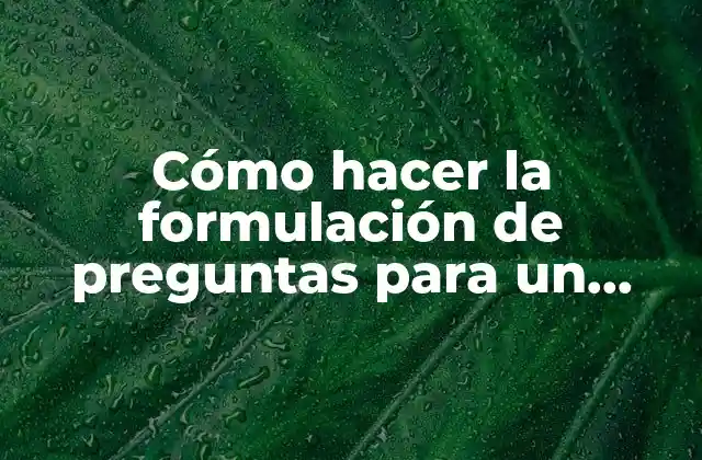 Cómo Hacer la Formulación de Preguntas para un Proyecto