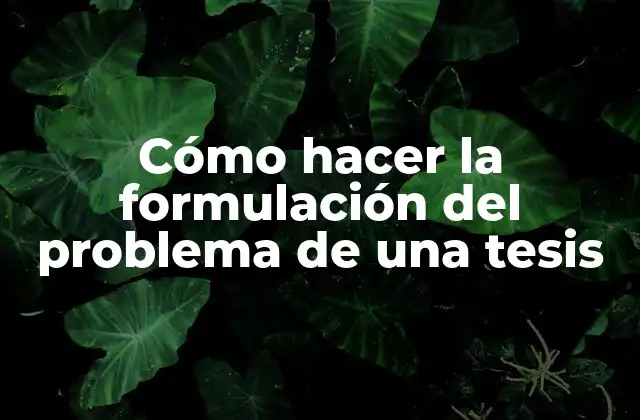 Cómo Hacer la Formulación Del Problema de una Tesis
