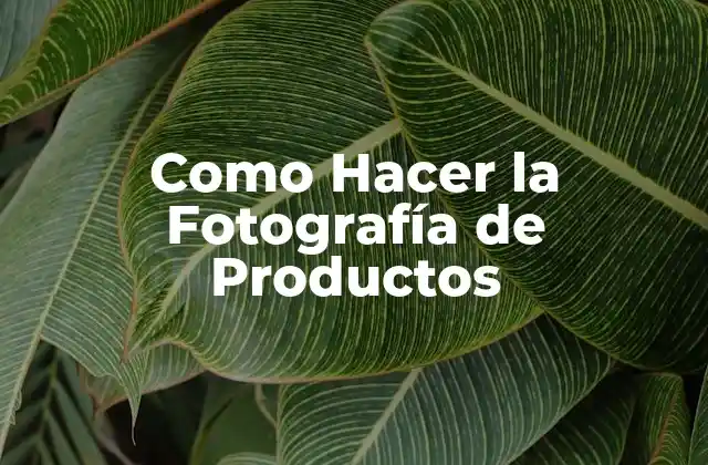 Como Hacer la Fotografía de Productos