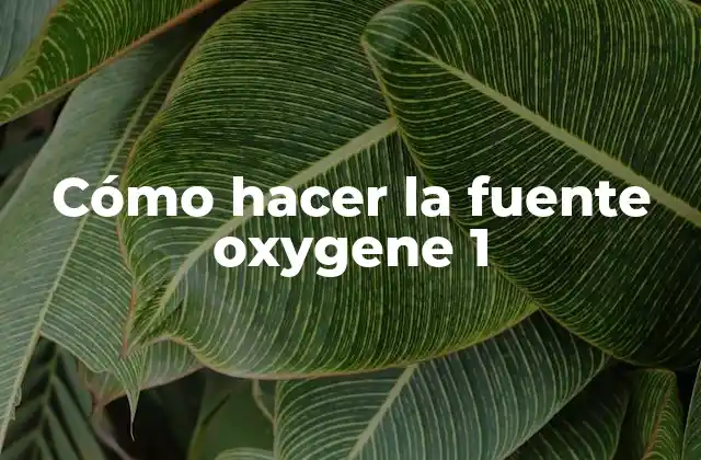 Cómo Hacer la Fuente Oxygene 1