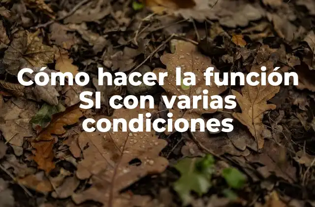 Cómo Hacer la Función Si con Varias Condiciones 2 ¿Qué es la función SI y para qué sirve?