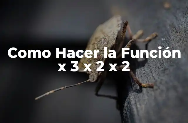 Como Hacer la Función X 3 X 2 X 2 2 ¿Qué es la Función x 3 x 2 x 2?