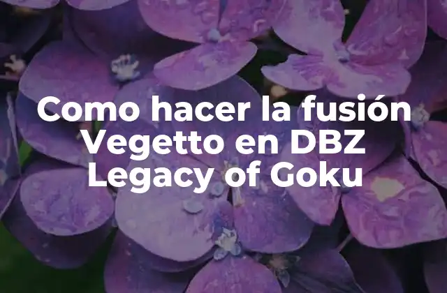 Como Hacer la Fusión Vegetto en Dbz Legacy Of Goku