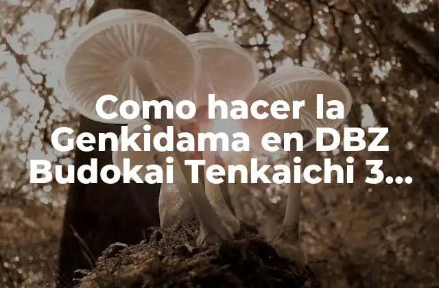 Como Hacer la Genkidama en Dbz Budokai Tenkaichi 3 Pc 2 ¿Qué es la Genkidama en DBZ Budokai Tenkaichi 3 PC?