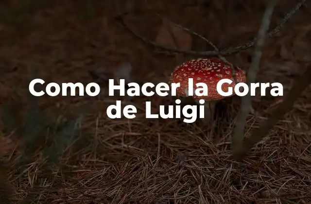 Como Hacer la Gorra de Luigi