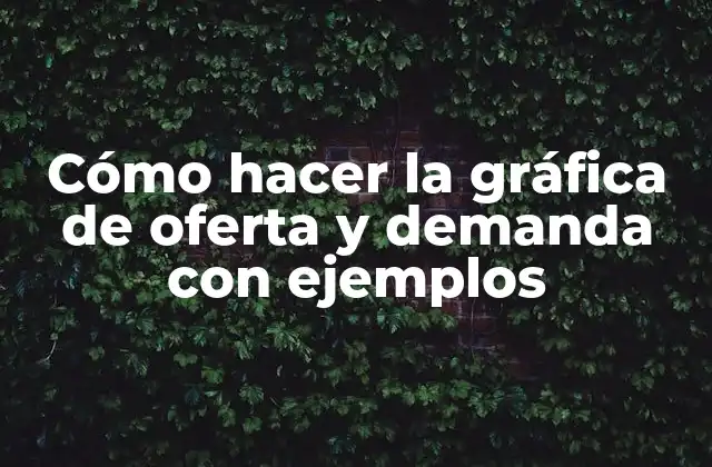 Cómo Hacer la Gráfica de Oferta y Demanda con Ejemplos