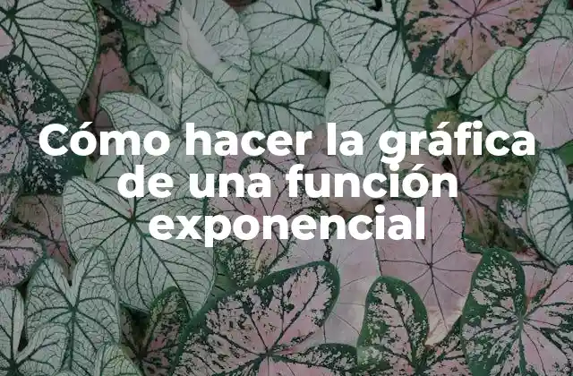 Cómo Hacer la Gráfica de una Función Exponencial