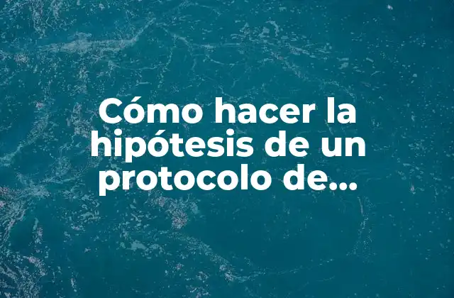La hipótesis de un protocolo de investigación