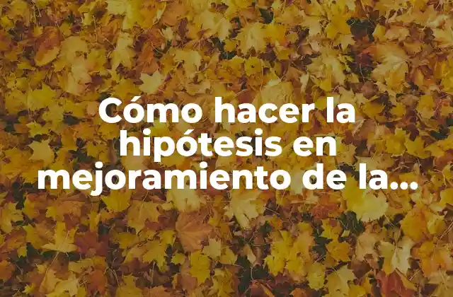 Cómo Hacer la Hipótesis en Mejoramiento de la Infraestructura