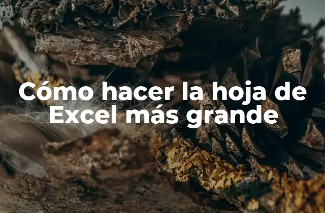 Cómo Hacer la Hoja de Excel Más Grande