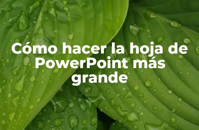 Cómo Hacer la Hoja de Powerpoint Más Grande