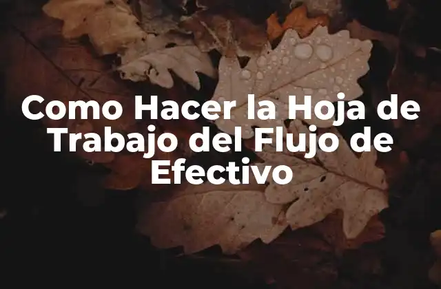 Como Hacer la Hoja de Trabajo Del Flujo de Efectivo