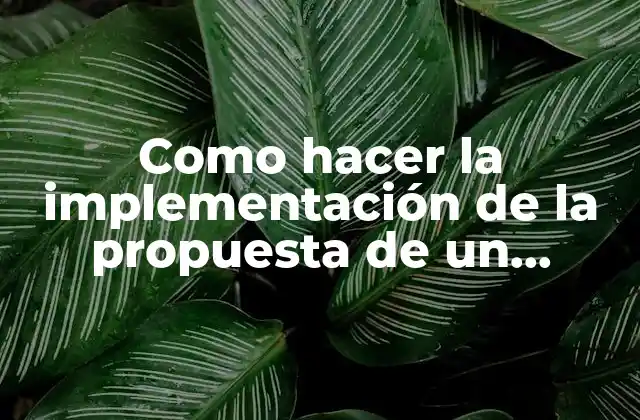 Implementación de la propuesta de un proyecto