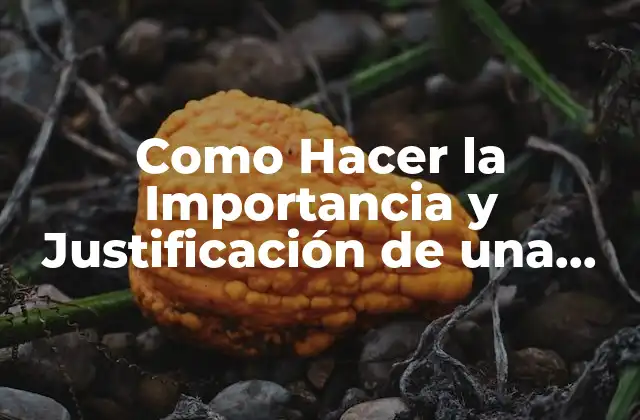 Como Hacer la Importancia y Justificación de una Investigación