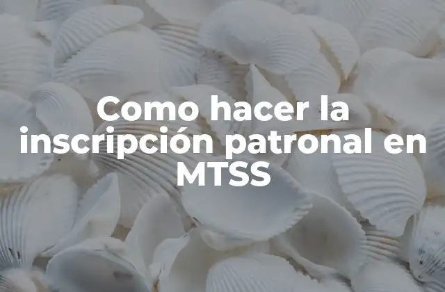 Como Hacer la Inscripción Patronal en Mtss
