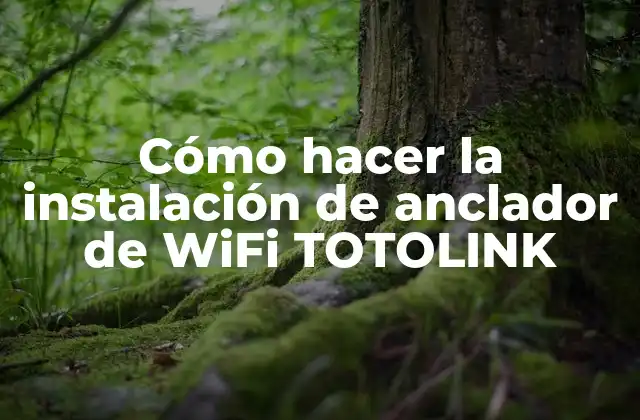Cómo Hacer la Instalación de Anclador de Wifi Totolink