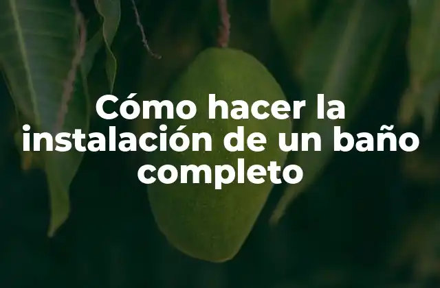 Cómo Hacer la Instalación de un Baño Completo
