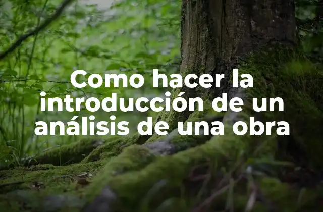 Como Hacer la Introducción de un Análisis de una Obra