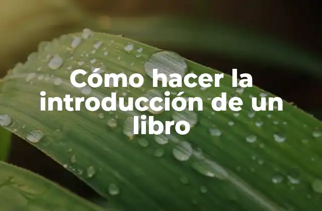 Cómo Hacer la Introducción de un Libro