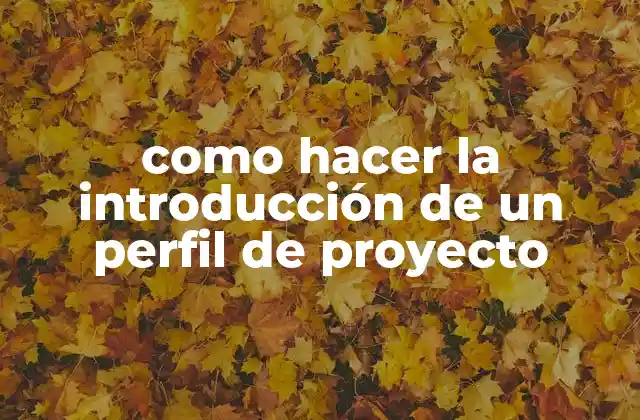 Como Hacer la Introducción de un Perfil de Proyecto