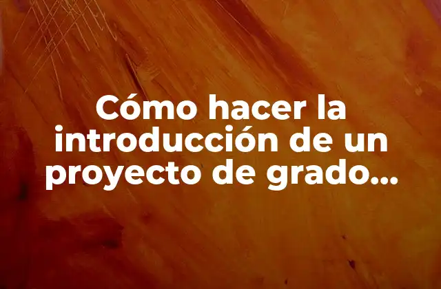 Cómo Hacer la Introducción de un Proyecto de Grado Ejemplos