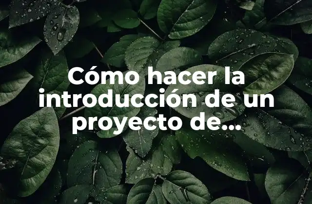 Cómo Hacer la Introducción de un Proyecto de Investigación Ejemplo