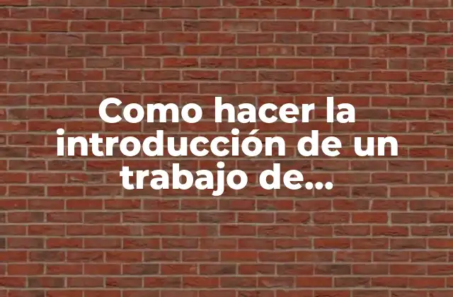 Introducción en un trabajo de investigación
