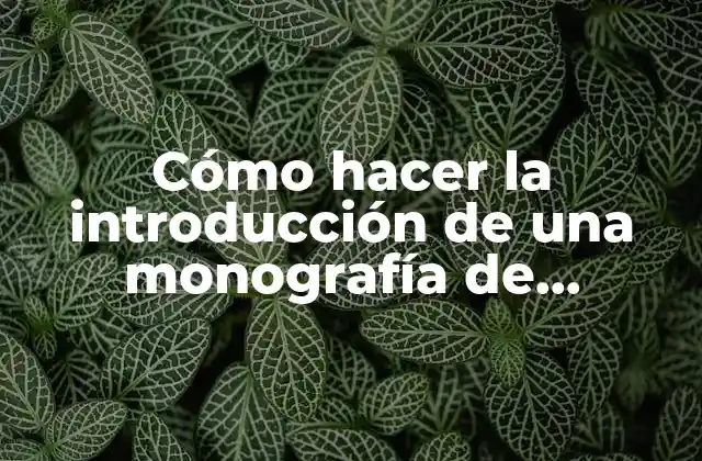 Cómo Hacer la Introducción de una Monografía de Pasantías