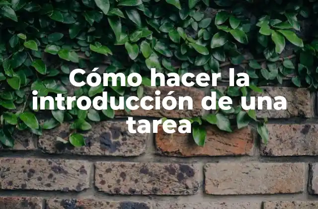 Cómo Hacer la Introducción de una Tarea