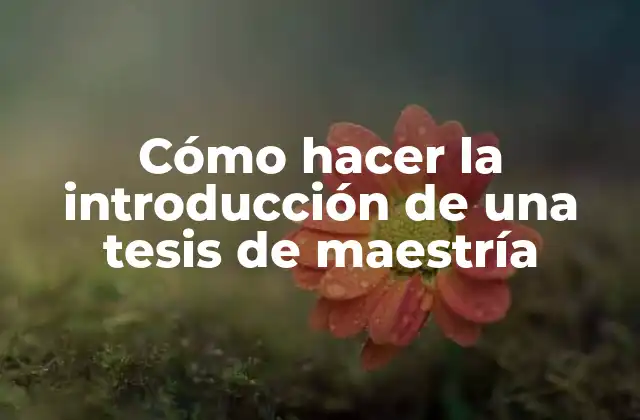 Cómo Hacer la Introducción de una Tesis de Maestría 2 Cómo hacer la introducción de una tesis de maestría