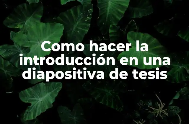 Como Hacer la Introducción en una Diapositiva de Tesis