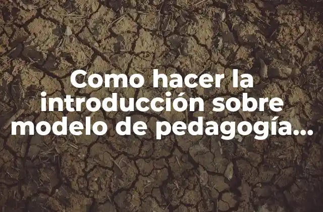 Como Hacer la Introducción sobre Modelo de Pedagogía Liberadora