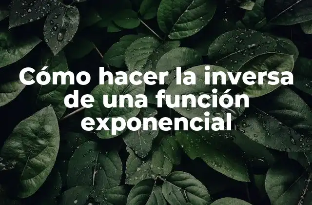 Cómo Hacer la Inversa de una Función Exponencial