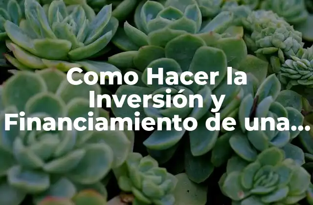 Como Hacer la Inversión y Financiamiento de una Empresa