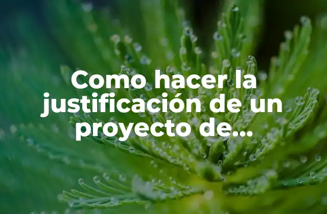 Como Hacer la Justificación de un Proyecto de Emprendimiento