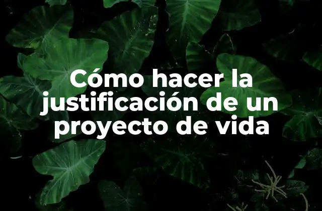¿Qué es la justificación de un proyecto de vida y para qué sirve?