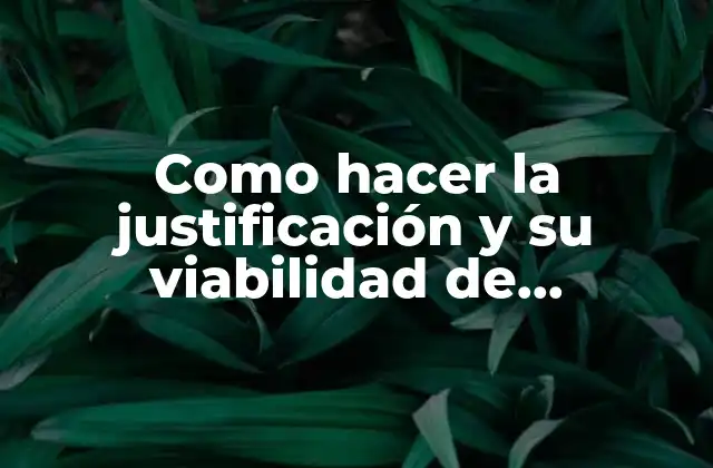 Como Hacer la Justificación y Su Viabilidad de Investigación
