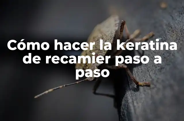 Cómo Hacer la Keratina de Recamier Paso a Paso