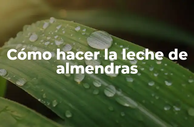 Cómo Hacer la Leche de Almendras