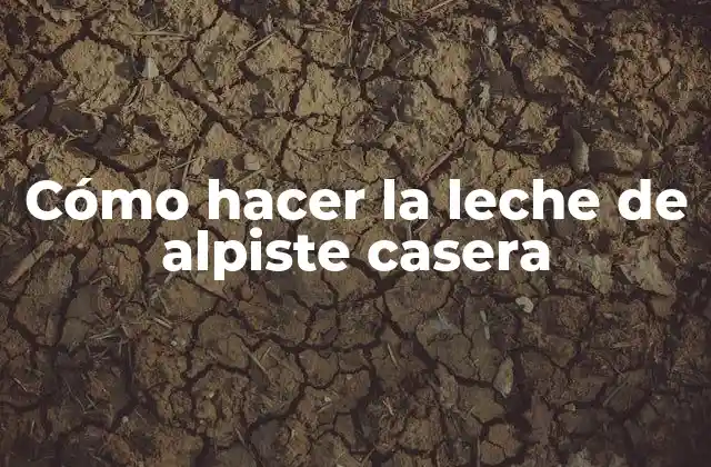 Cómo Hacer la Leche de Alpiste Casera