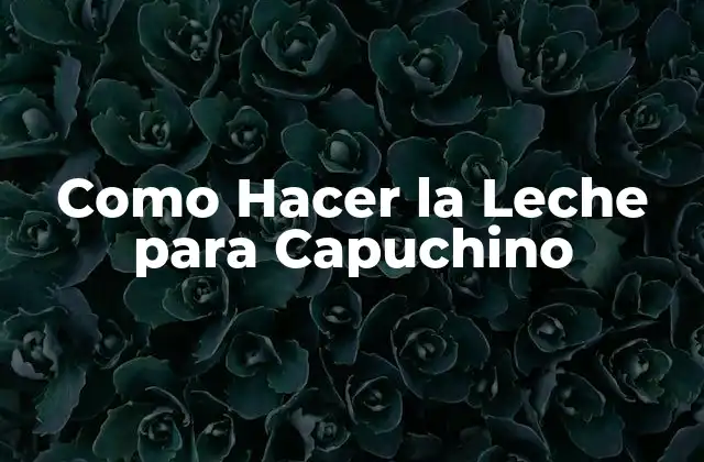 Como Hacer la Leche para Capuchino