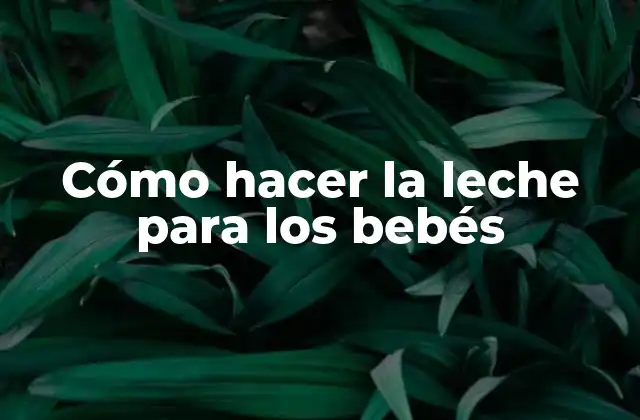 Cómo Hacer la Leche para los Bebés