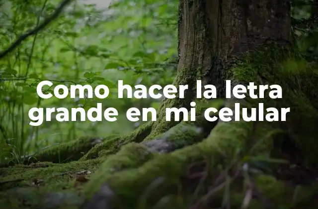 Como Hacer la Letra Grande en Mi Celular