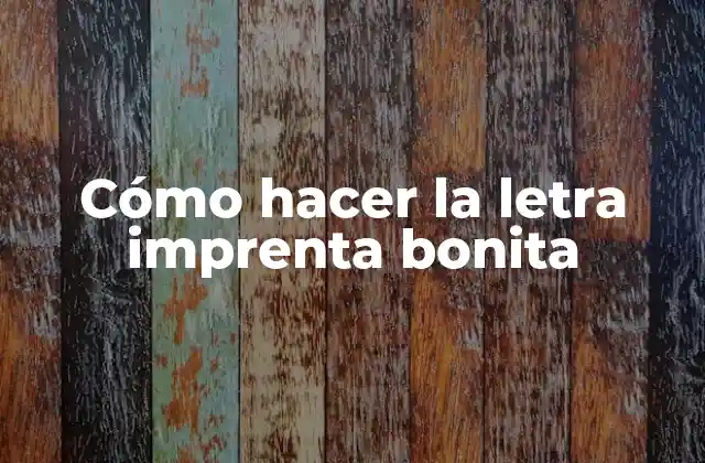 Cómo Hacer la Letra Imprenta Bonita