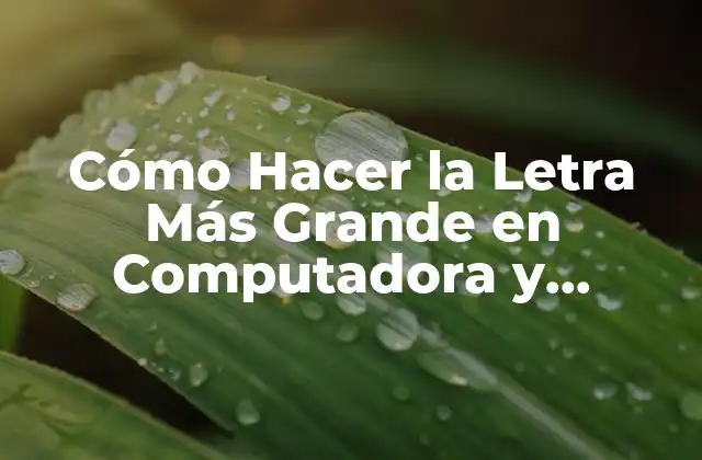 Cómo Hacer la Letra Más Grande en Windows