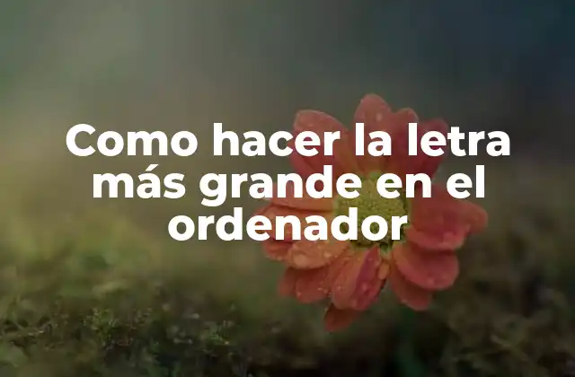 Como Hacer la Letra Más Grande en el Ordenador