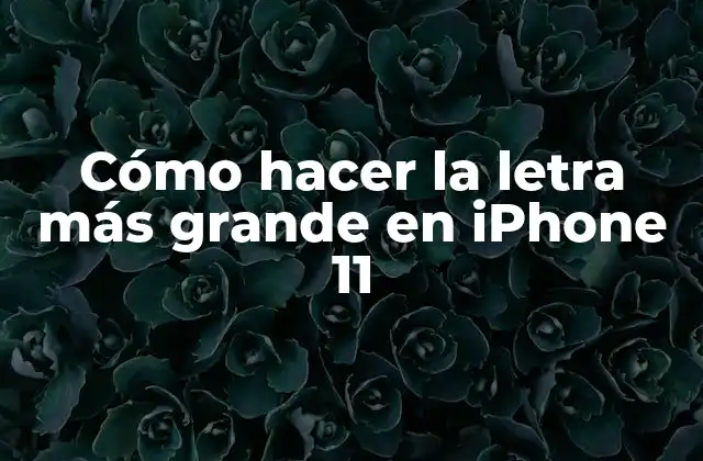 Cómo Hacer la Letra Más Grande en Iphone 11